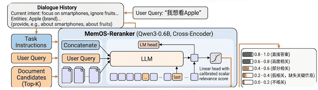 Memory Reranking Process